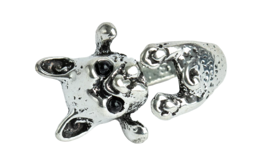 Anillo Lealtad Inquebrantable Perro Guardián, fotografía del catálogo Draco